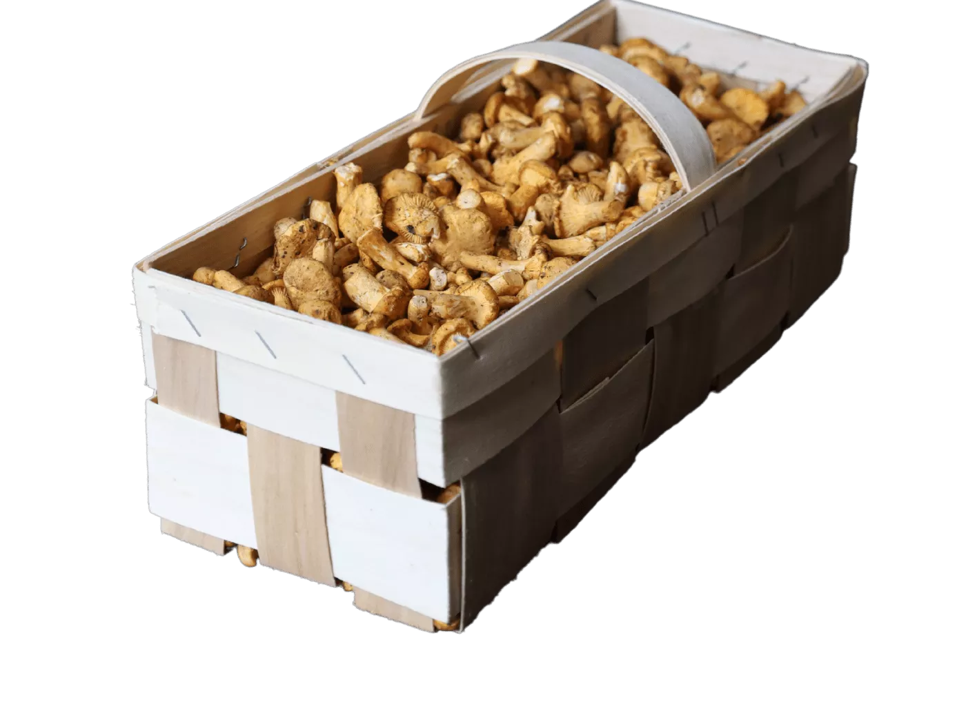 boletus-packing